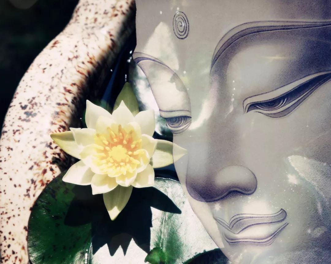 微信图片_20181016214324.jpg 微信图片_20181016214324.jpg