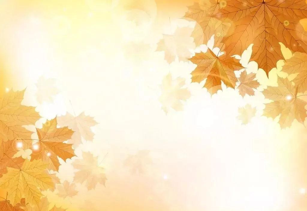 微信图片_20181018224833.jpg 微信图片_20181018224833.jpg