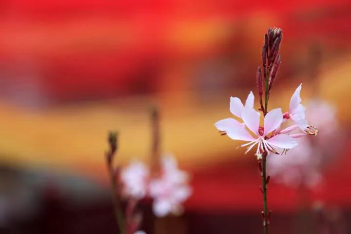 微信图片_20190328210433.jpg 微信图片_20190328210433.jpg