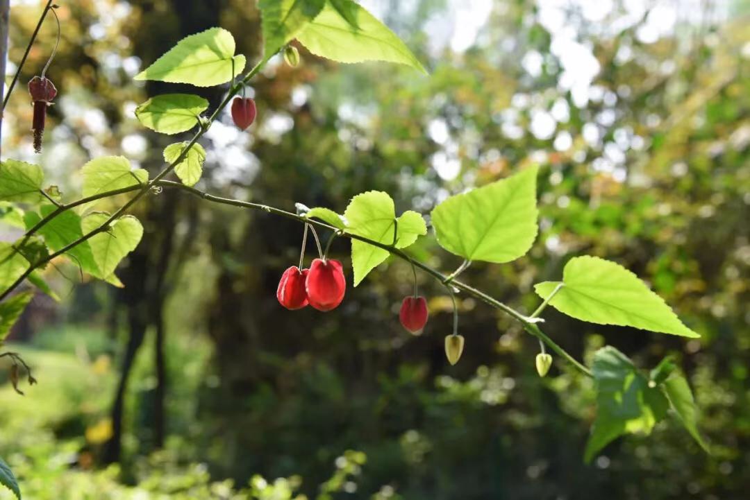 微信图片_20190423212008.jpg 微信图片_20190423212008.jpg