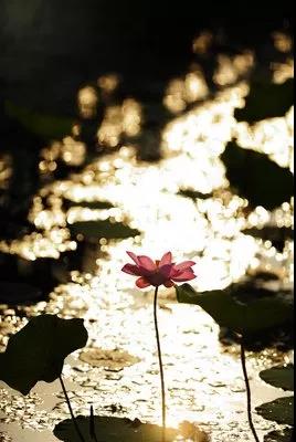 微信图片_20190423213854.jpg 微信图片_20190423213854.jpg