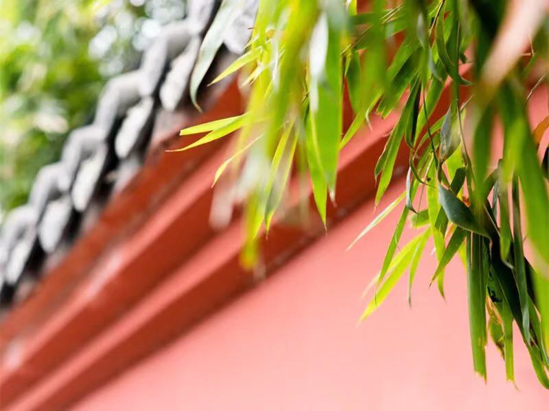 微信图片_20190427105428.jpg 微信图片_20190427105428.jpg