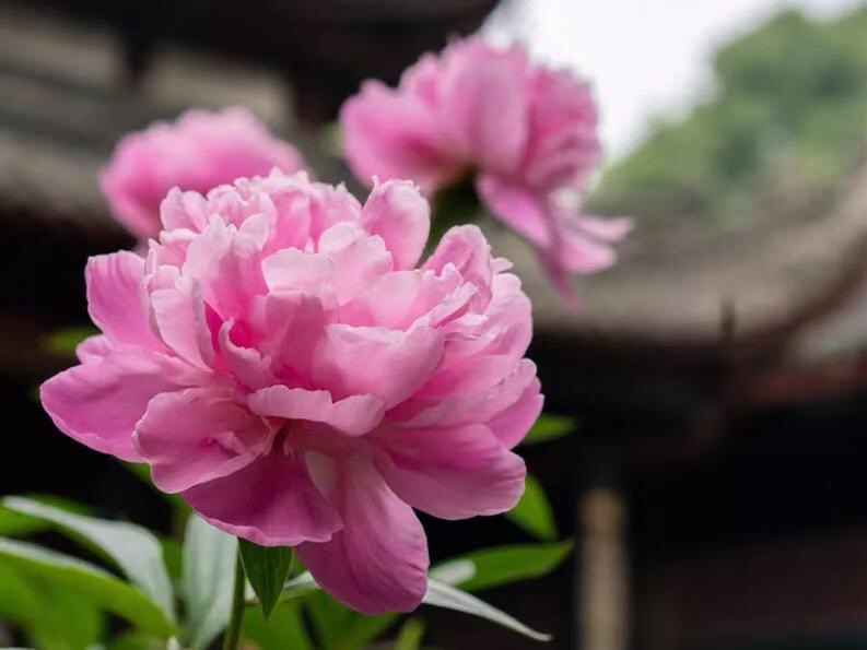 微信图片_20190427105415.jpg 微信图片_20190427105415.jpg