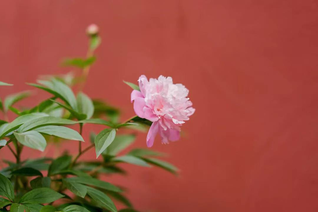 微信图片_20190508203522.jpg 微信图片_20190508203522.jpg