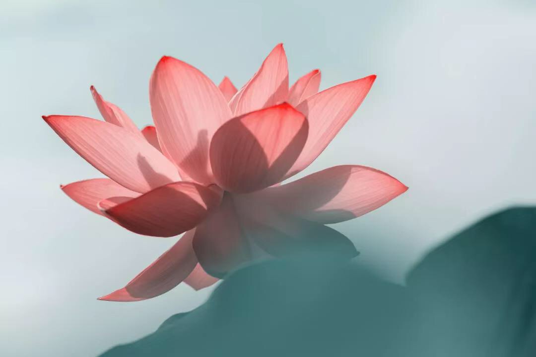 微信图片_20190730212955.jpg 微信图片_20190730212955.jpg