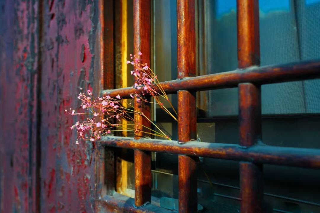 微信图片_20190912212021.jpg 微信图片_20190912212021.jpg