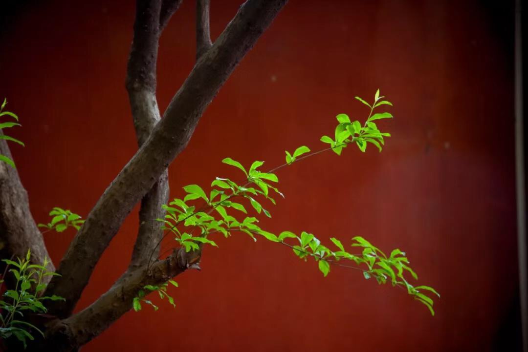 微信图片_20190912212014.jpg 微信图片_20190912212014.jpg