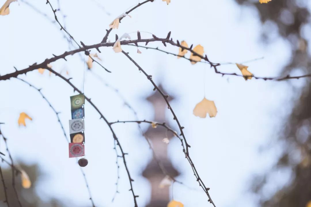 微信图片_20190925215129.jpg 微信图片_20190925215129.jpg