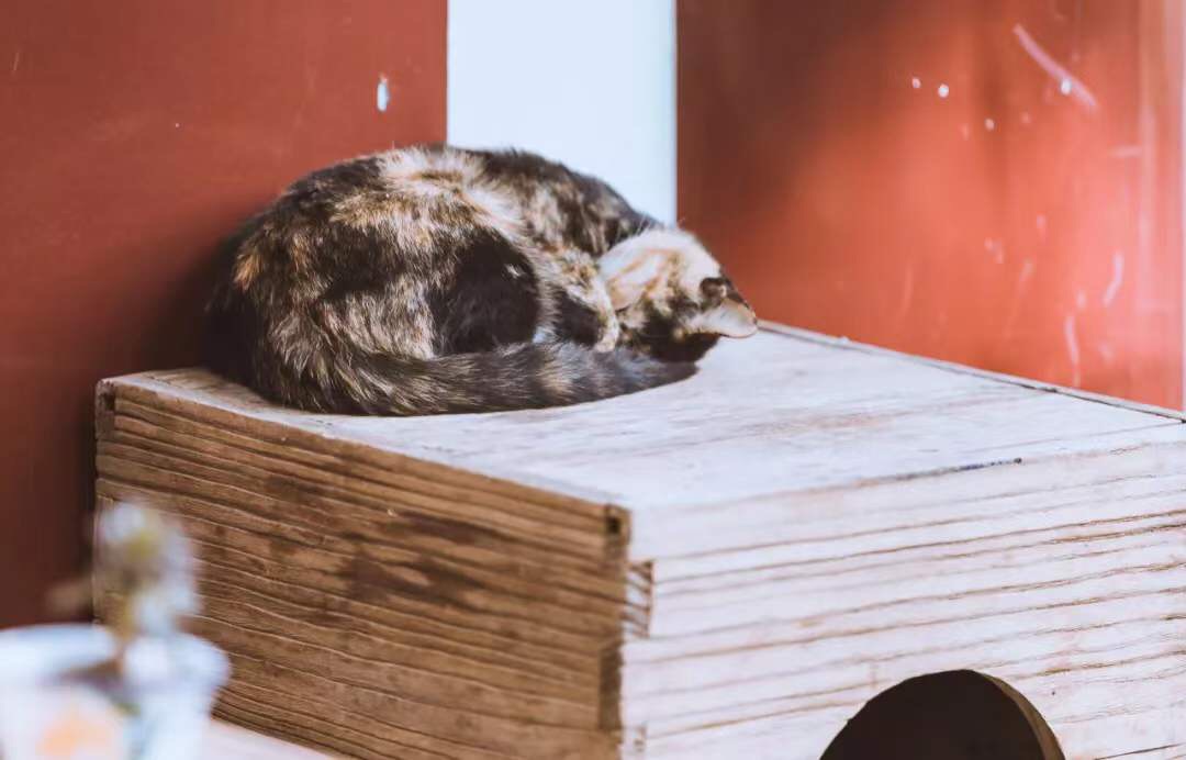 微信图片_20191009190632.jpg 微信图片_20191009190632.jpg