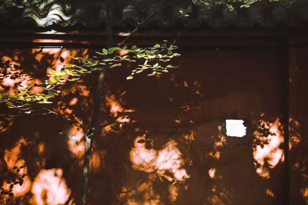 微信图片_20191205235759.jpg 微信图片_20191205235759.jpg