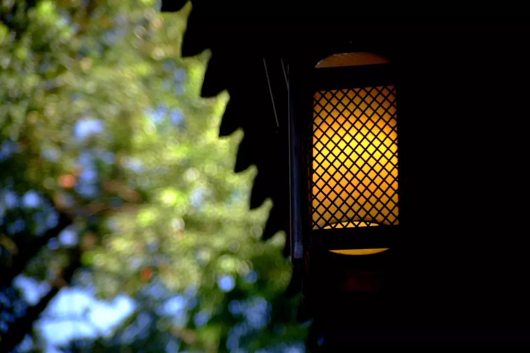 微信图片_20200120220559.jpg 微信图片_20200120220559.jpg