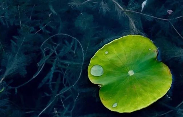 微信图片_20200527215938.jpg 微信图片_20200527215938.jpg