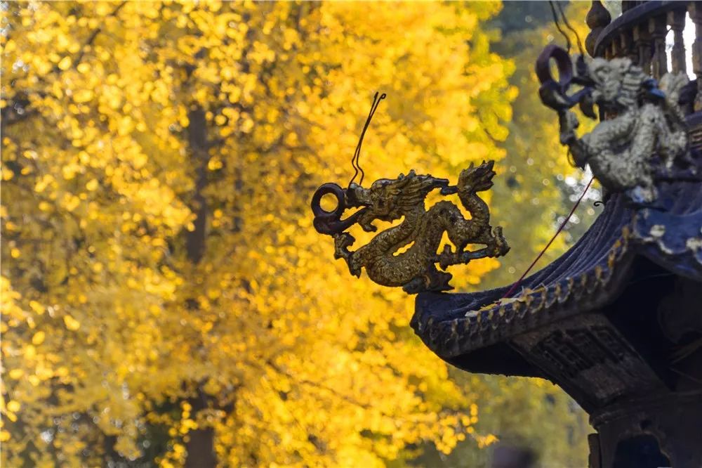 微信图片_20200812221947.jpg 微信图片_20200812221947.jpg